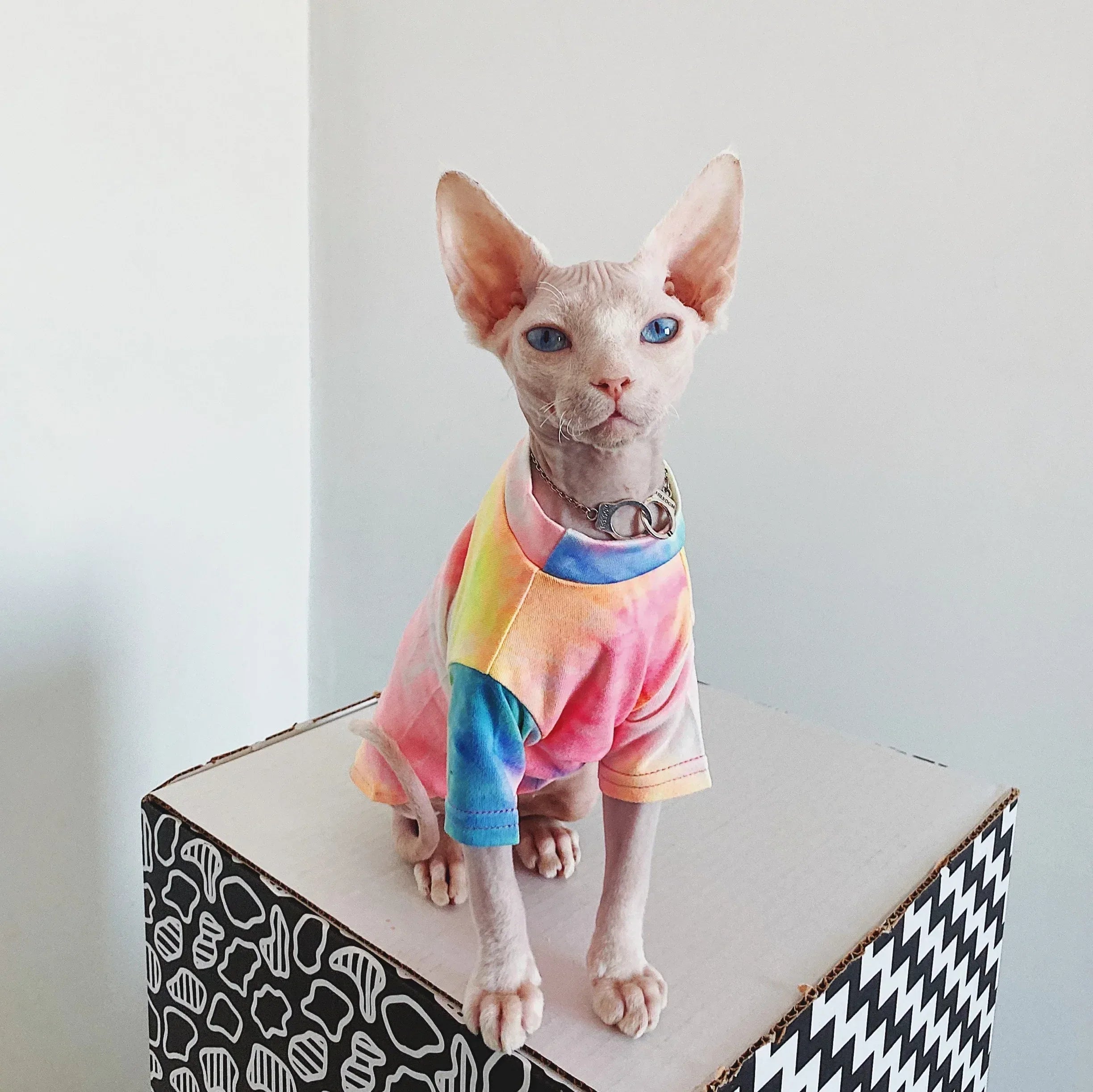 Pakaian Kucing Tanpa Bulu Tie-dye Pelapik Pelangi