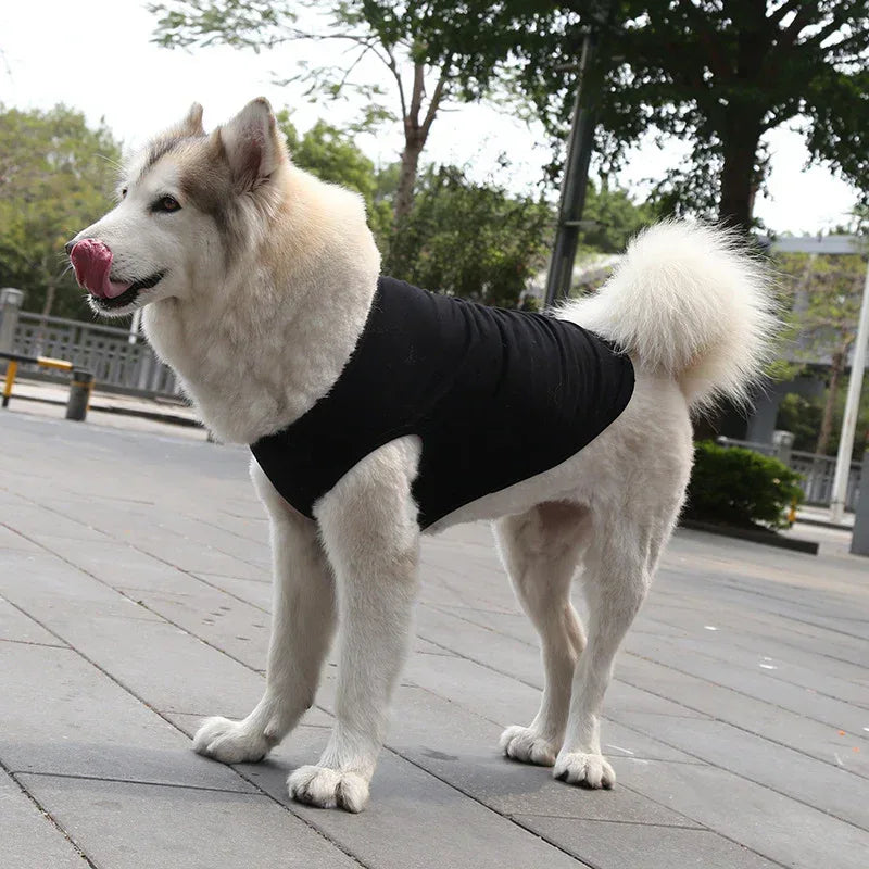 Chaleco para perro XS-5XL Camiseta para perro Ropa de verano para perros pequeños y medianos Camiseta para Chihuahua