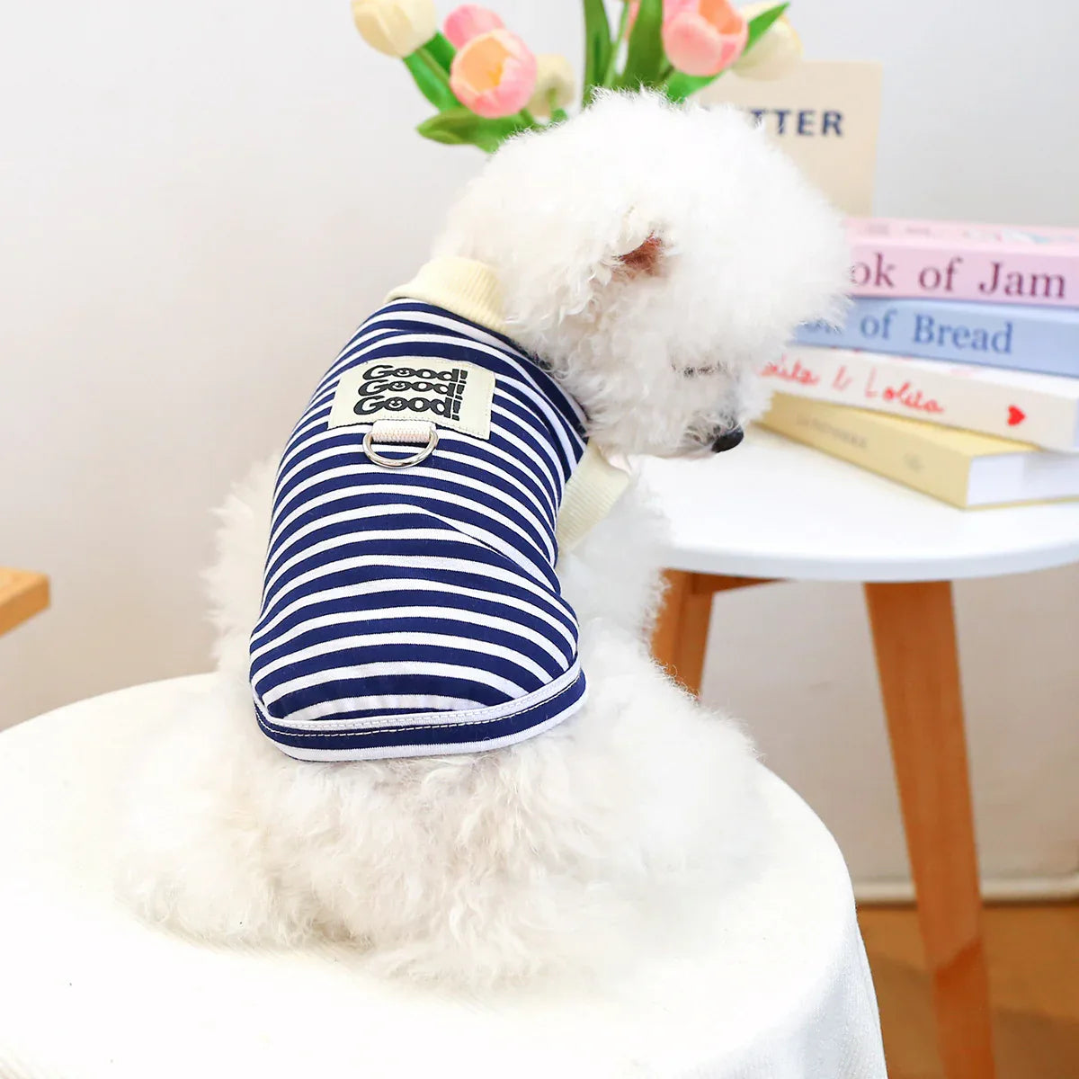 Gilet Antiscivolo per Cani