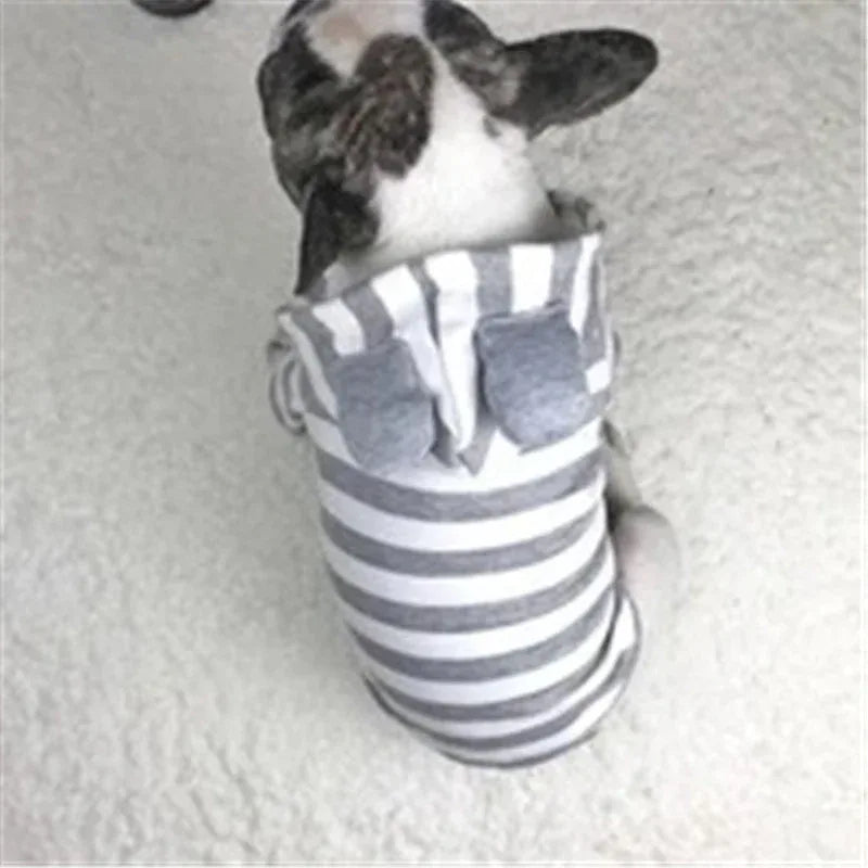 Maglione a righe per animali domestici