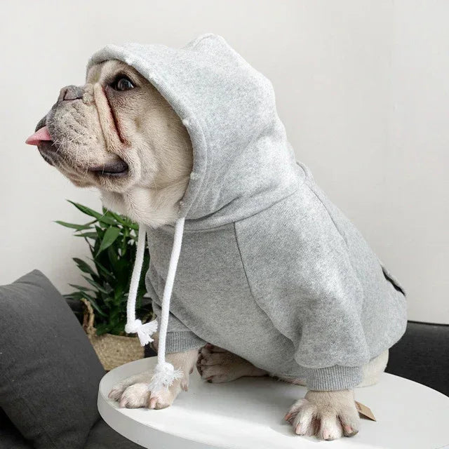 Animal de compagnie avec sweat à capuche en polaire