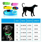 LED Luminous Pet Collar Adjustable Night Safety Glow