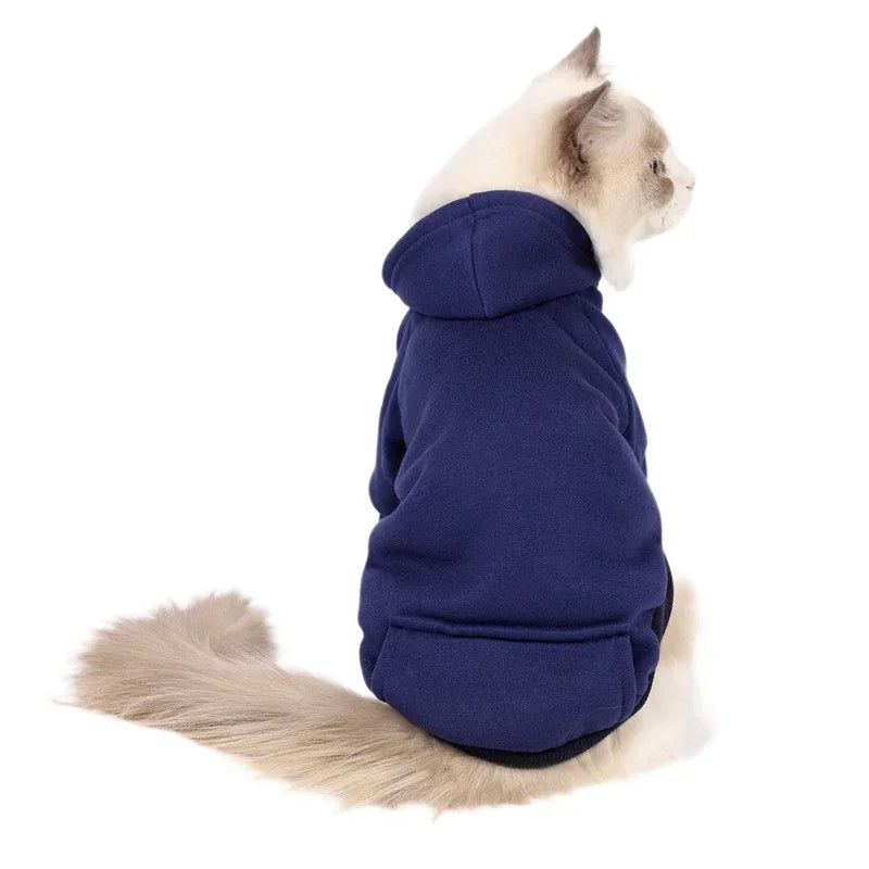 Petits et moyens chiens portant casquettes et vêtements en polaire