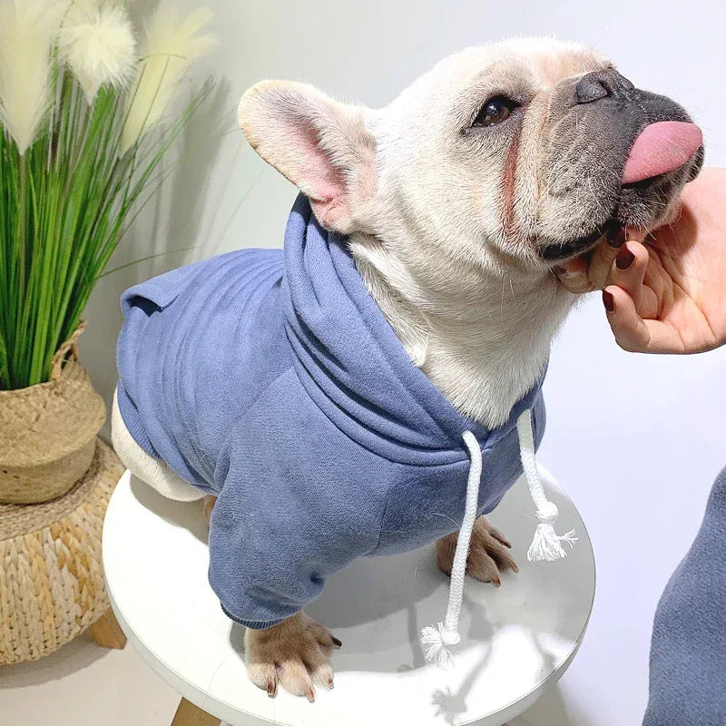 Animal de compagnie avec sweat à capuche en polaire