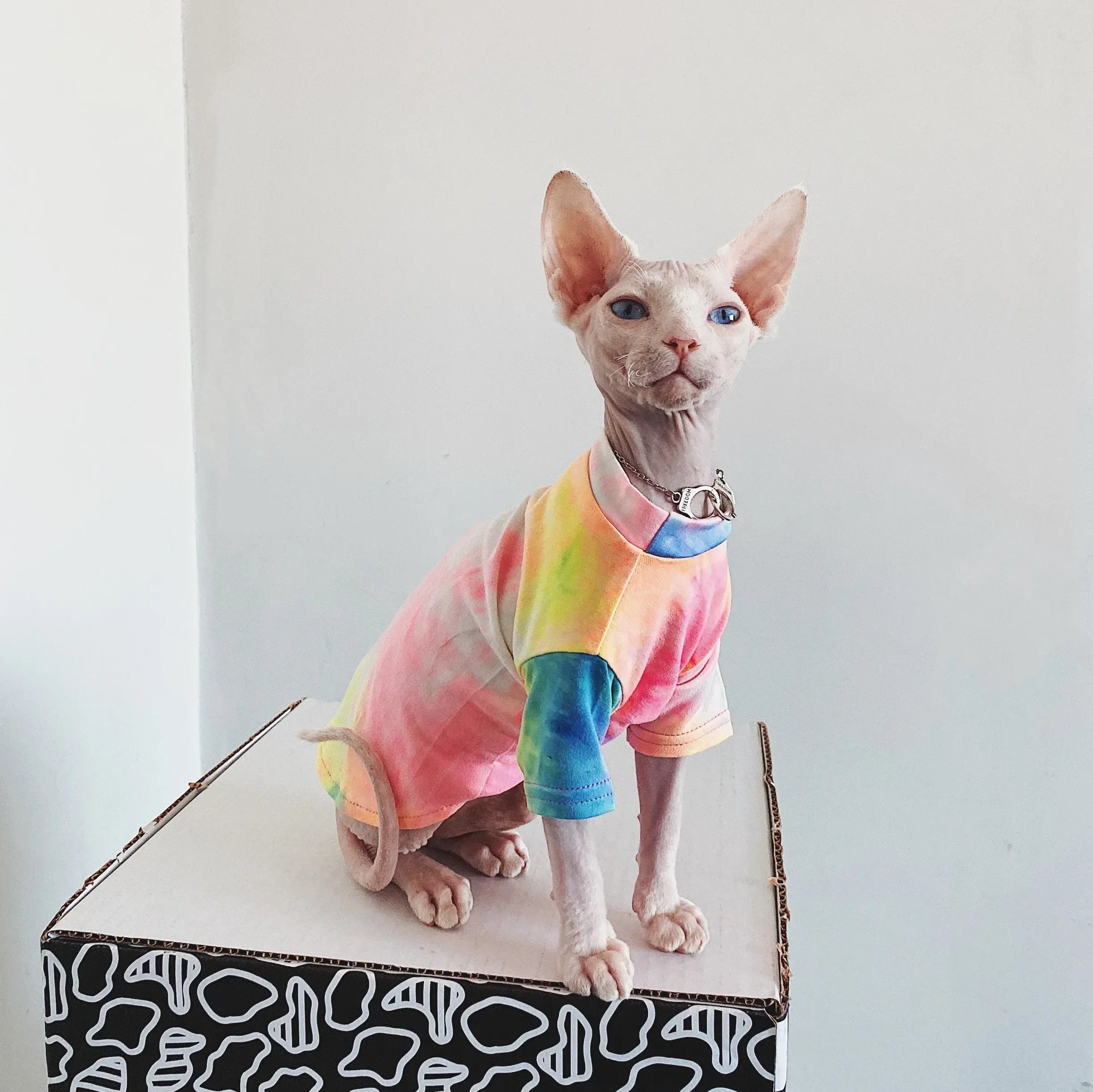 Pakaian Kucing Tanpa Bulu Tie-dye Pelapik Pelangi