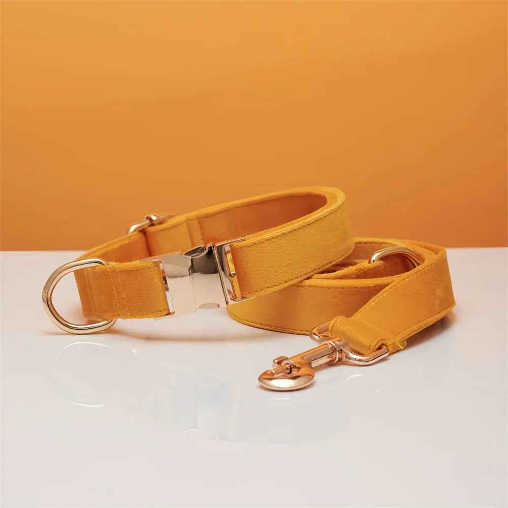 Personalized Velvet Dog Collar & Leash Set with Bow