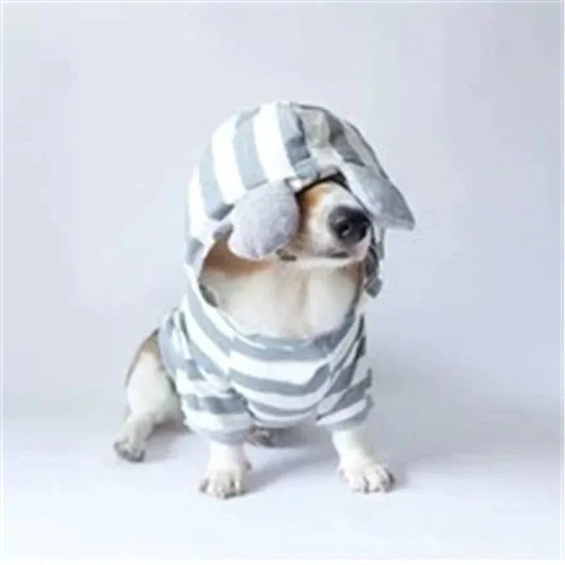 Maglione a righe per animali domestici