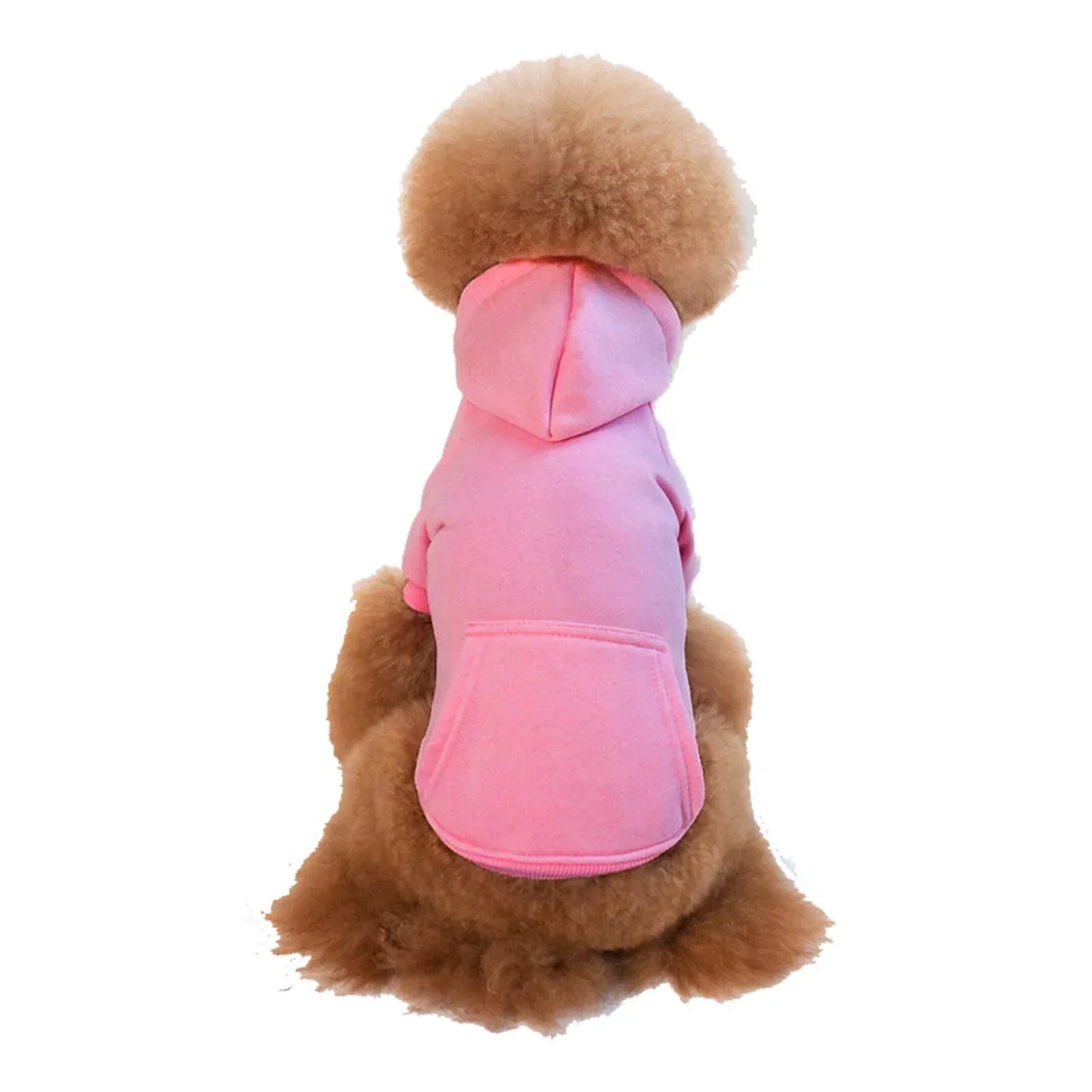 Petits et moyens chiens portant casquettes et vêtements en polaire