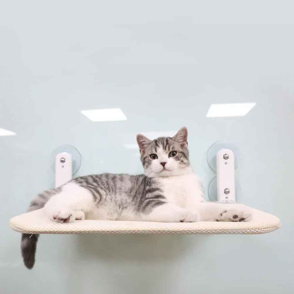 四季通用猫砂吊床吸盘窗户