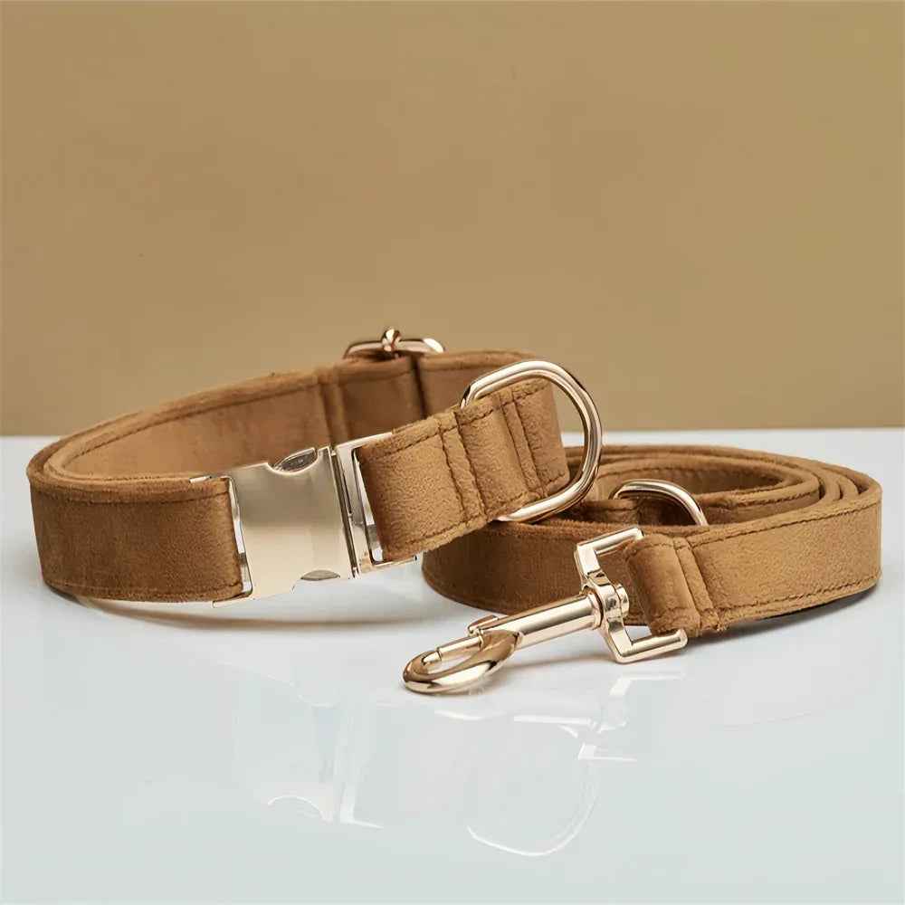 Personalized Velvet Dog Collar & Leash Set with Bow