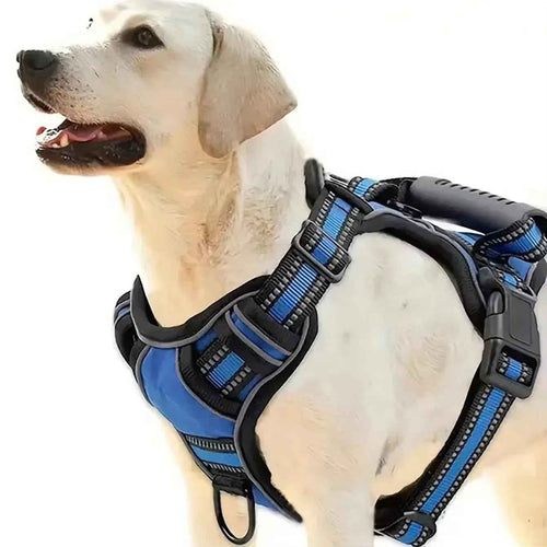 Tactical Service Dog Harness Kit with Seat Belt & Travel Bowl