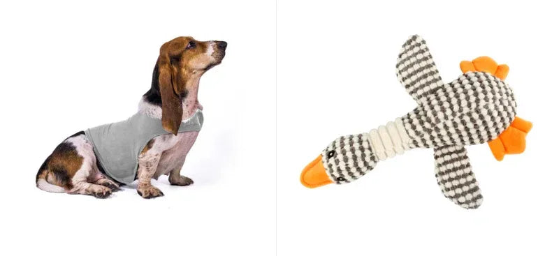 Áo Gile Chống Lo Âu Mùa Hè Điều Trị Y Tế Giúp Thú Cưng Bình Tĩnh Quần Áo Cho Mèo Quần Áo Thoải Mái Cho Chó