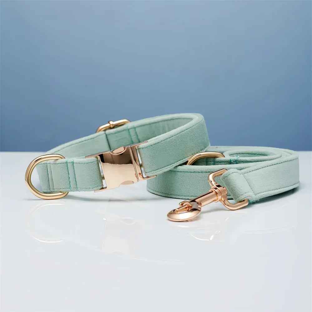 Personalized Velvet Dog Collar & Leash Set with Bow
