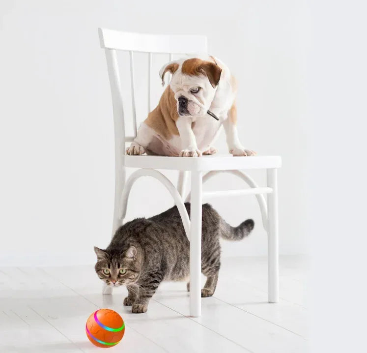 ของเล่นลูกบอลแมว Pet New Cat Wicked Ball ของเล่นแมวอัจฉริยะ ลูกบอล USB ลูกบอลหมุนอัตโนมัติ