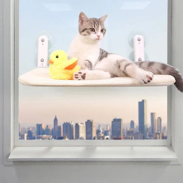 四季通用猫砂吊床吸盘窗户