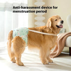 Big Dog Calcinhas Menstruais Calças Absorventes para Período Menstrual