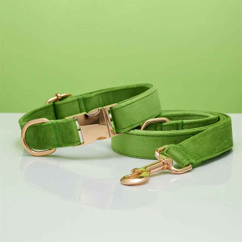 Personalized Velvet Dog Collar & Leash Set with Bow