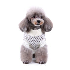 Christmas Snowflake dog sweater