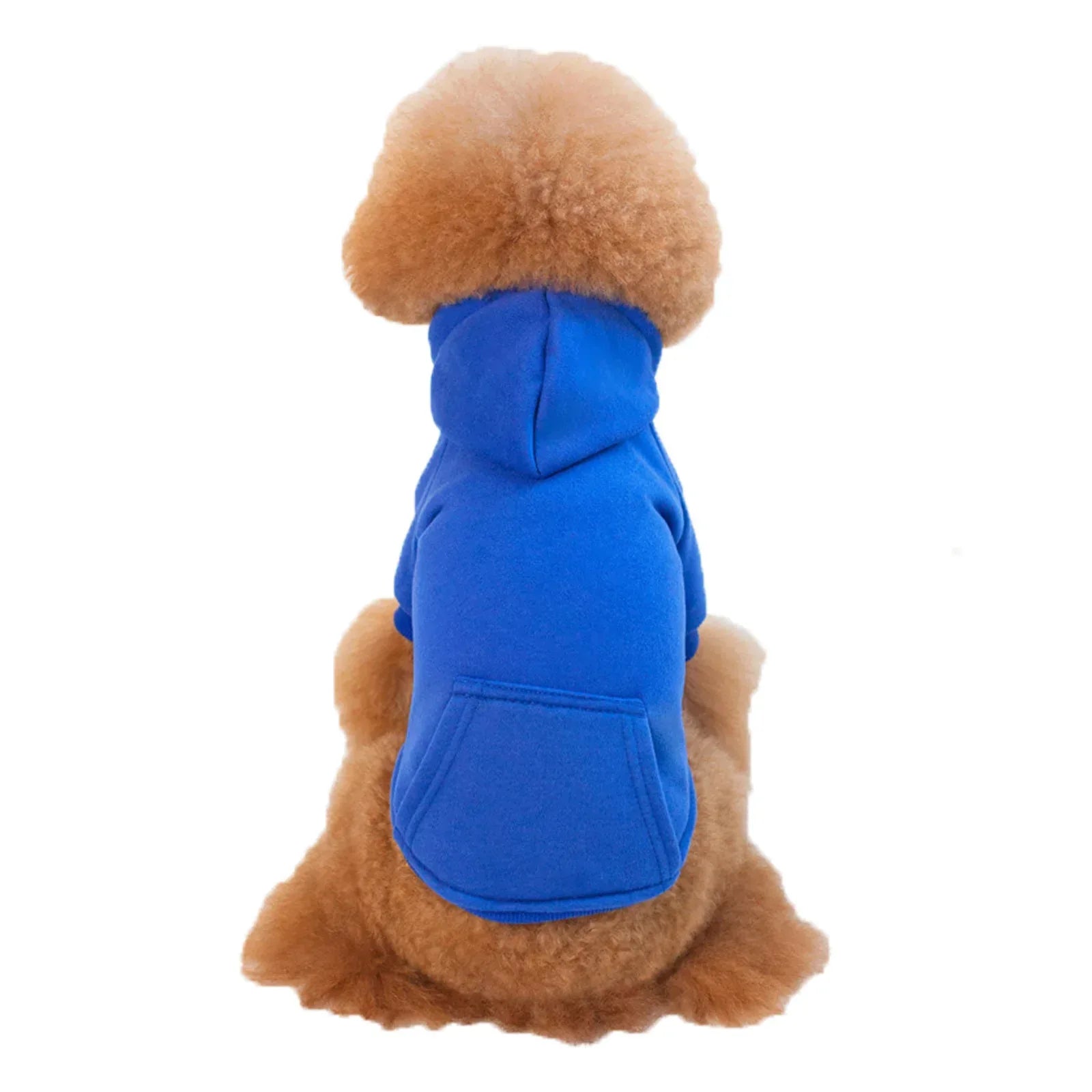 Petits et moyens chiens portant casquettes et vêtements en polaire