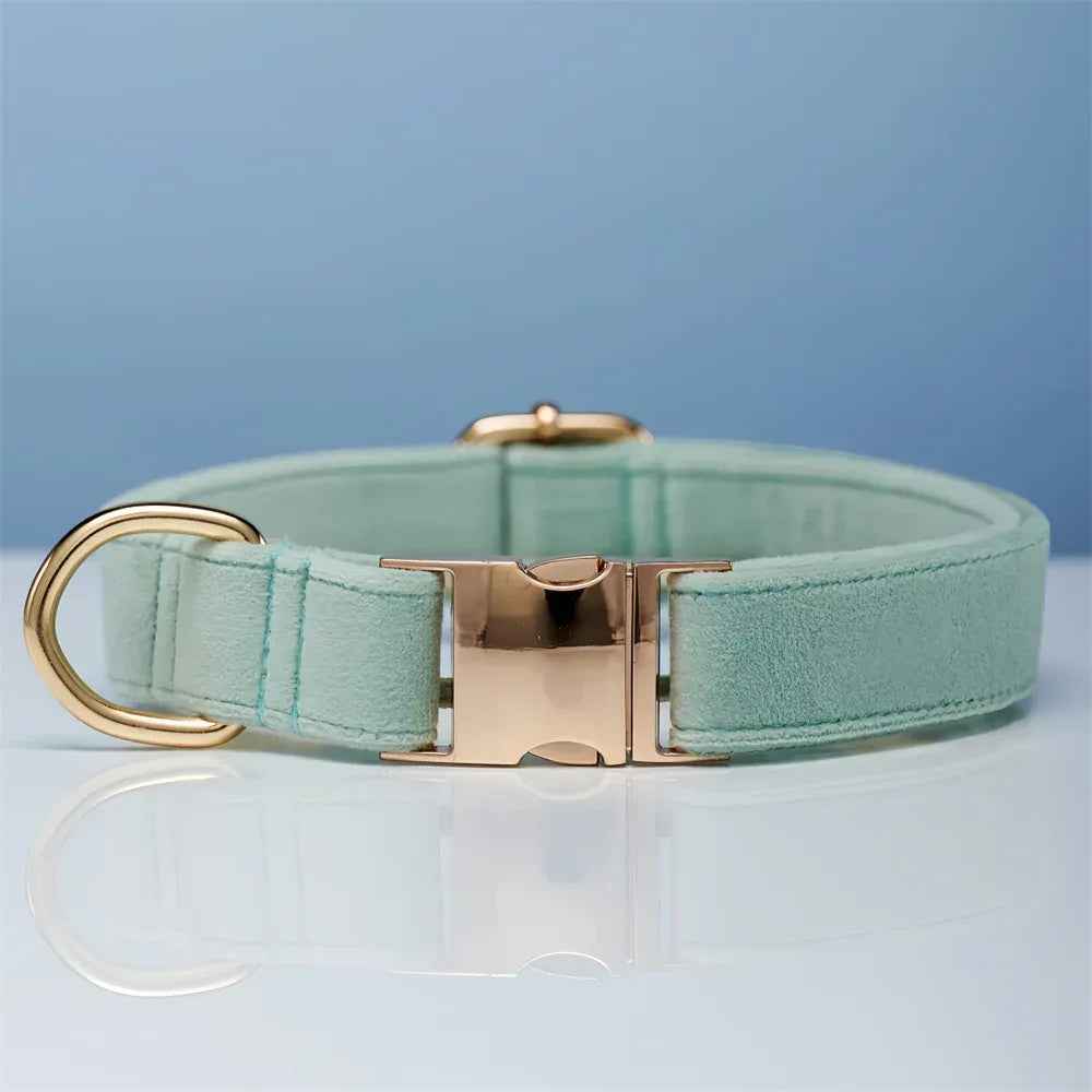 Personalized Velvet Dog Collar & Leash Set with Bow