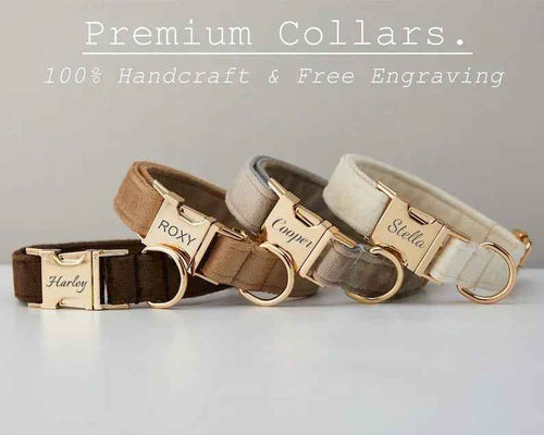 Personalized Velvet Dog Collar & Leash Set with Bow