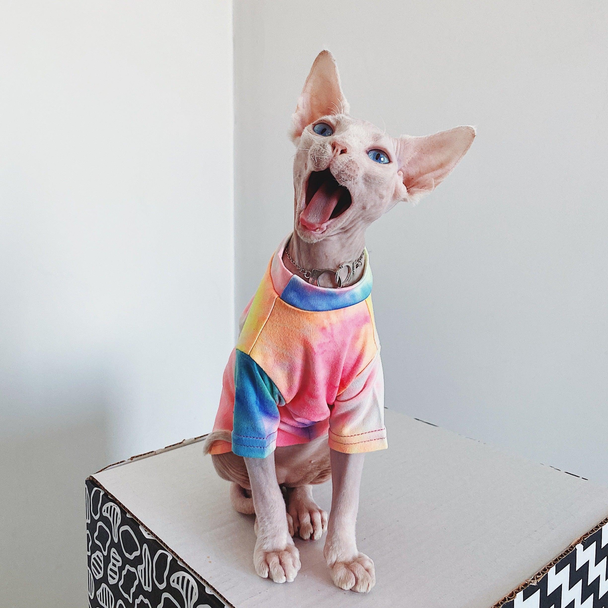 Pakaian Kucing Tanpa Bulu Tie-dye Pelapik Pelangi