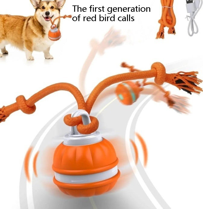 Pet Ball For Dogs Interactive Toys Motion Activate Rolling Ball For Puppy Small Dogs Automatic Moving Toy USB Rechargeable Toy Pet Products
