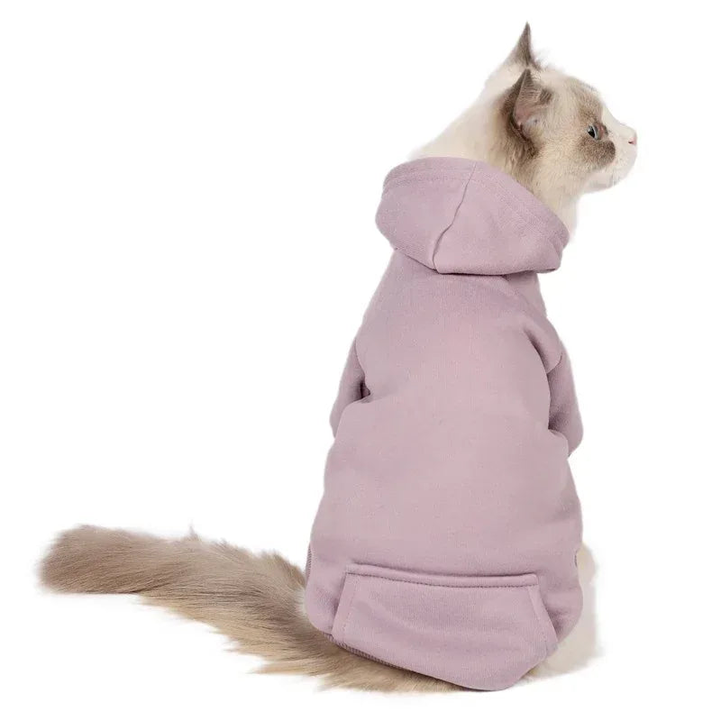 Petits et moyens chiens portant casquettes et vêtements en polaire