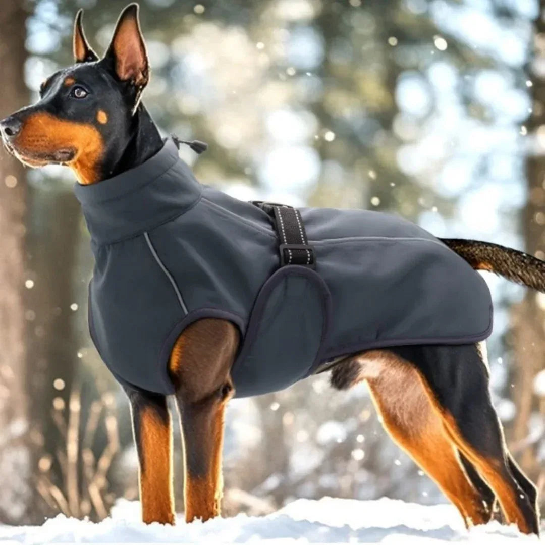 Gilet Invernale Spesso Teddy per Autunno e Inverno