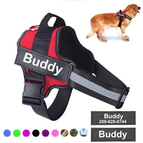 Personalized No-Pull Dog Harness Adjustable Reflective Vest