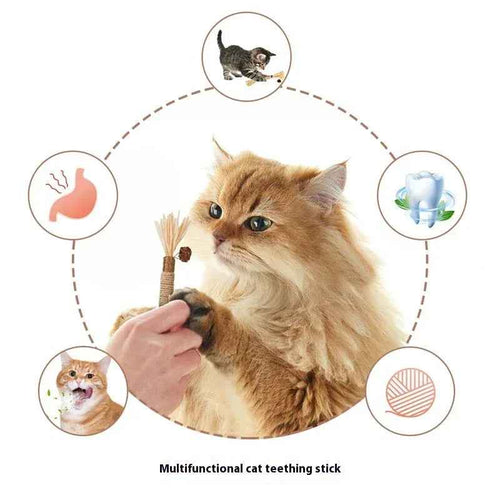 Funny Cat Molar Bite Stick Toy