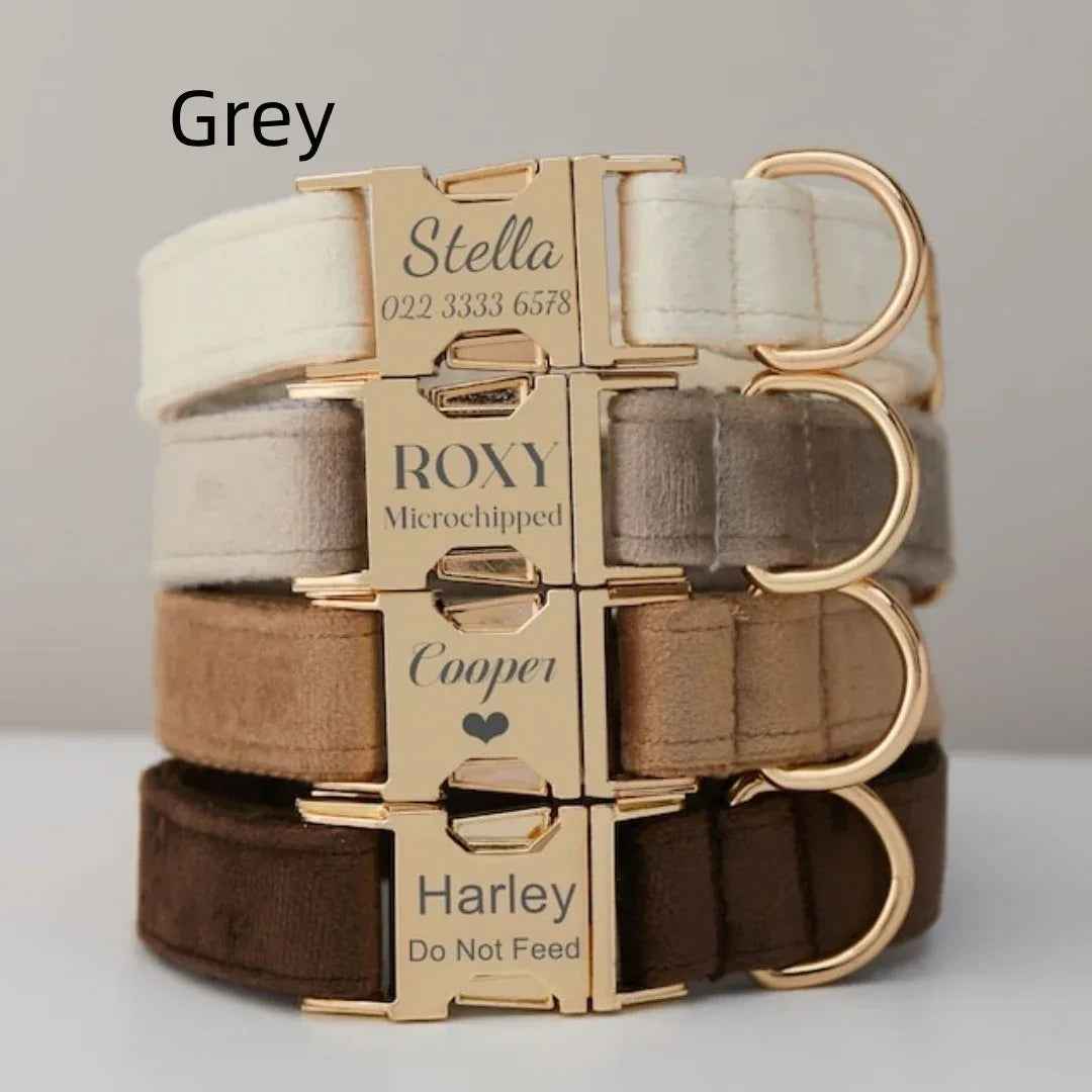 Personalized Velvet Dog Collar & Leash Set with Bow