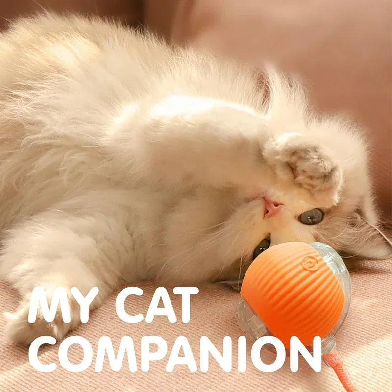 猫咪互动球玩具 自动滚动球 适用于小猫 可充电智能宠物电动玩具 带逗猫感应器猫球玩具