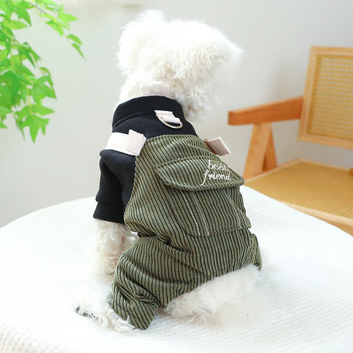 펫 링 강아지 고양이 옷 뉴 코듀로이