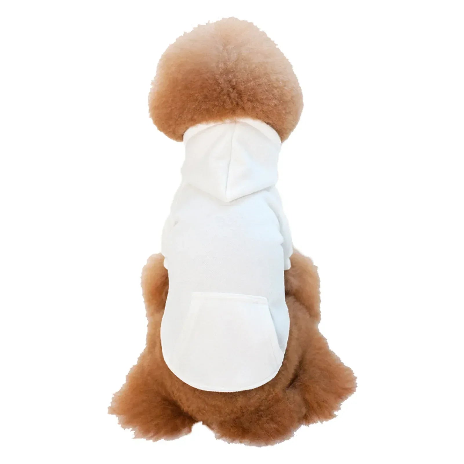 Petits et moyens chiens portant casquettes et vêtements en polaire