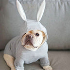 Small dog knitted sweater rabbit ears costume