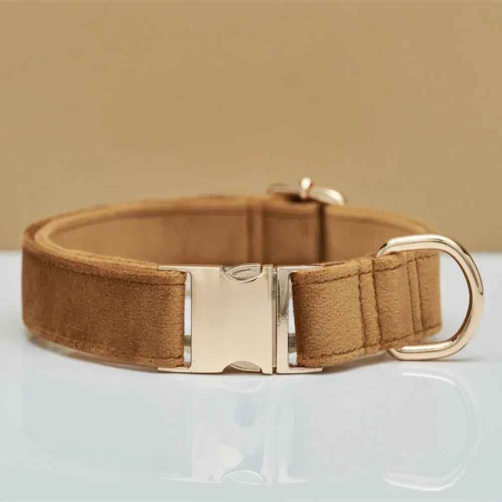 Personalized Velvet Dog Collar & Leash Set with Bow