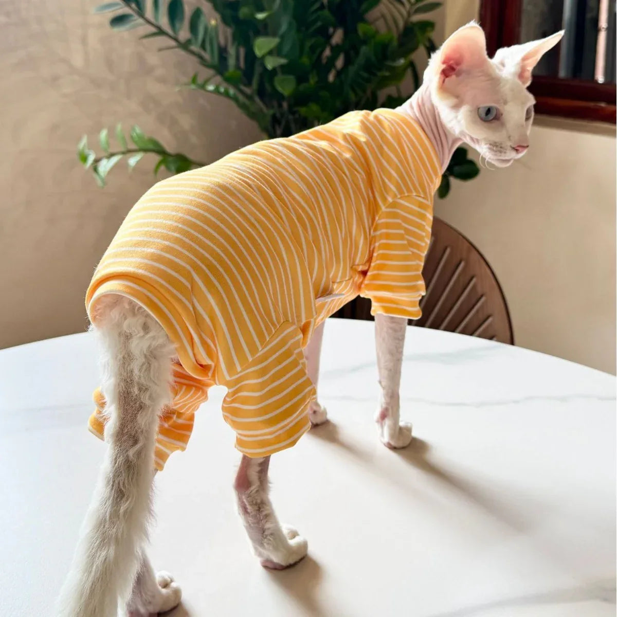 Abbigliamento traspirante sottile per gatti a quattro zampe Pet Cool