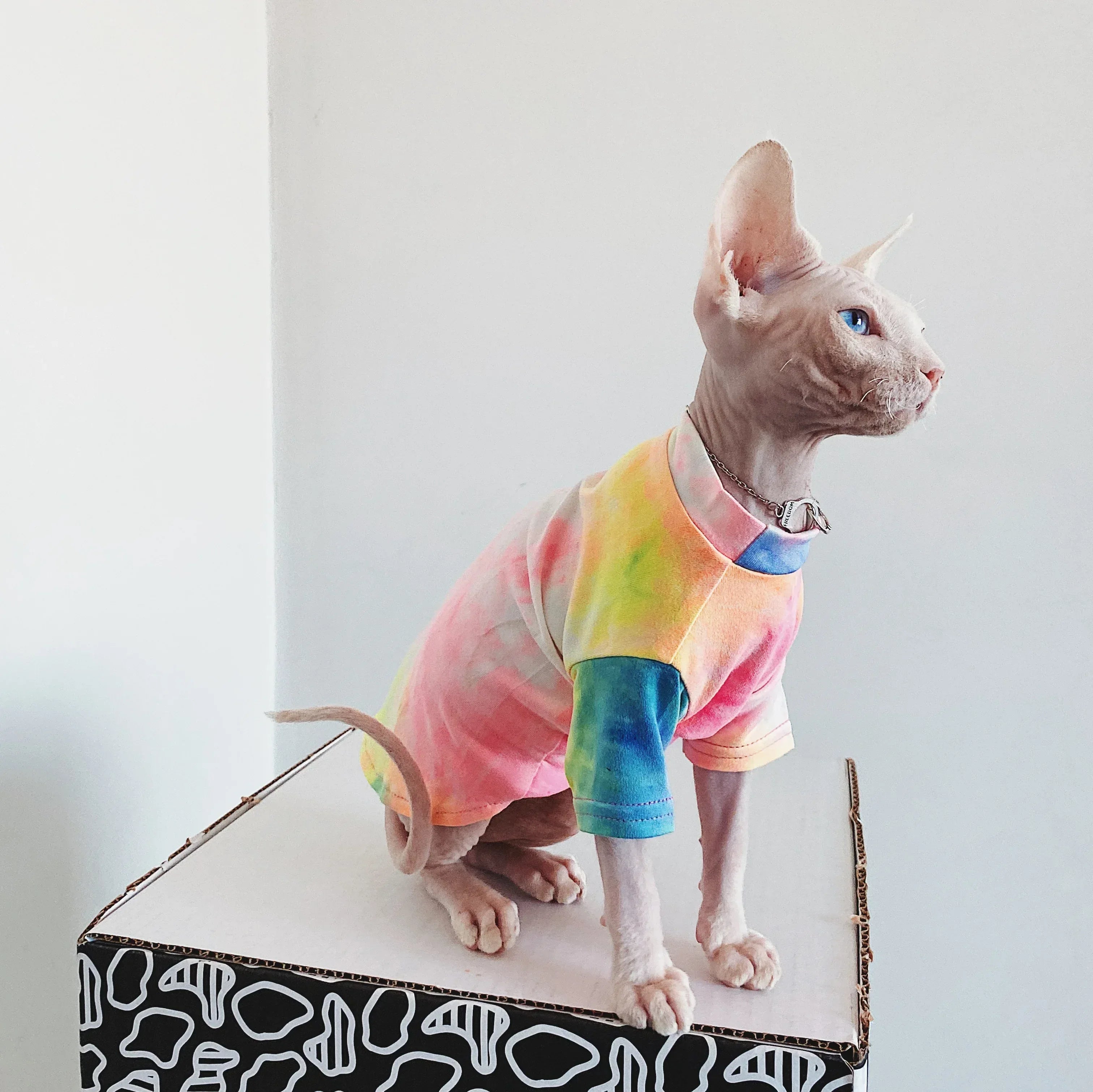 Pakaian Kucing Tanpa Bulu Tie-dye Pelapik Pelangi