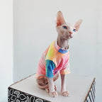 Pakaian Kucing Tanpa Bulu Tie-dye Pelapik Pelangi