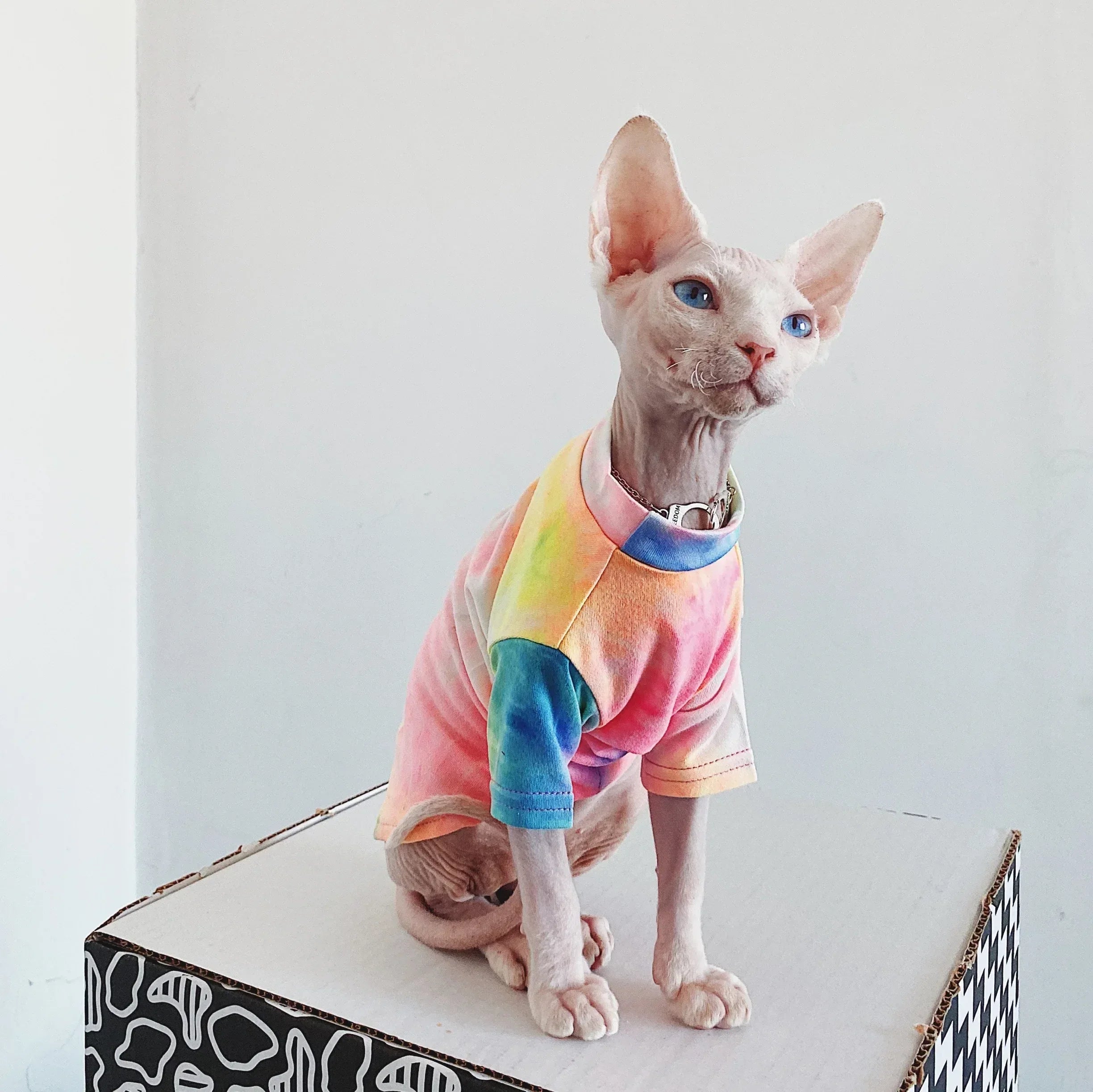 Pakaian Kucing Tanpa Bulu Tie-dye Pelapik Pelangi
