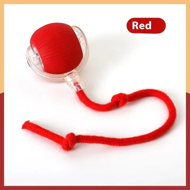 ของเล่นลูกบอลสำหรับสัตว์เลี้ยง บรรเทาอาการคัดจมูก และสนุกสำหรับแมว ทนกัด
