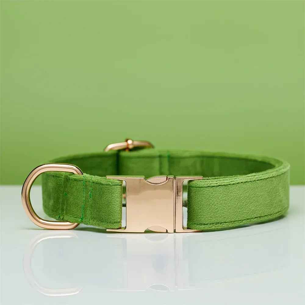 Personalized Velvet Dog Collar & Leash Set with Bow