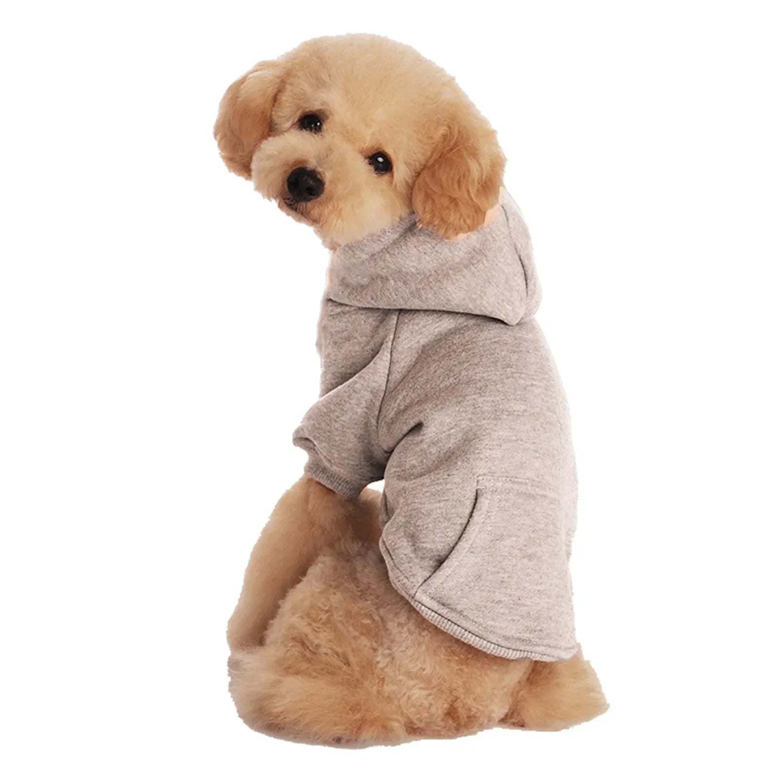 Petits et moyens chiens portant casquettes et vêtements en polaire