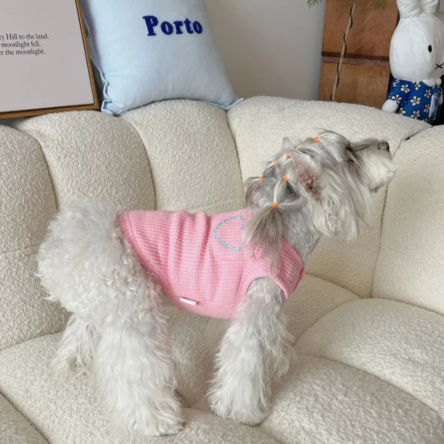 Gilet Estivo alla Moda per Animali Domestici