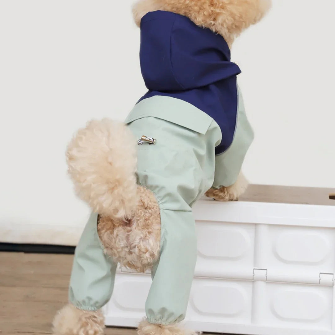 반려동물 소형 및 중형견 방수 방진 쉘 자켓