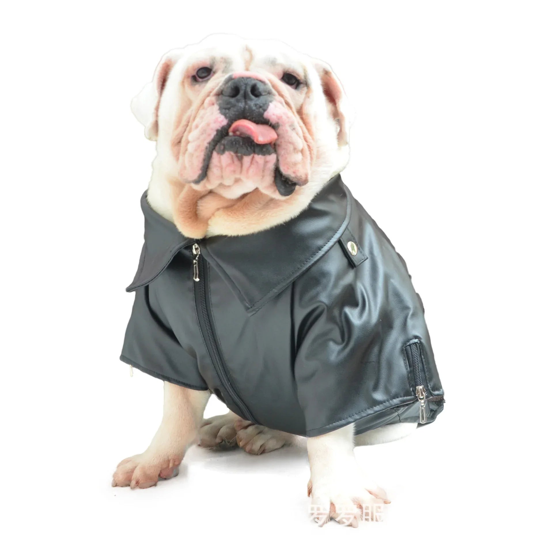Big Dog Clothes Giacca di Pelle Autunno e Inverno