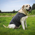 Classic Dog Anxiety Jacket Breathable Thunder Vest For Dogs Thunder Vest For Dogs Anxiety Shirt Dog Clothes For Anxiety Stress