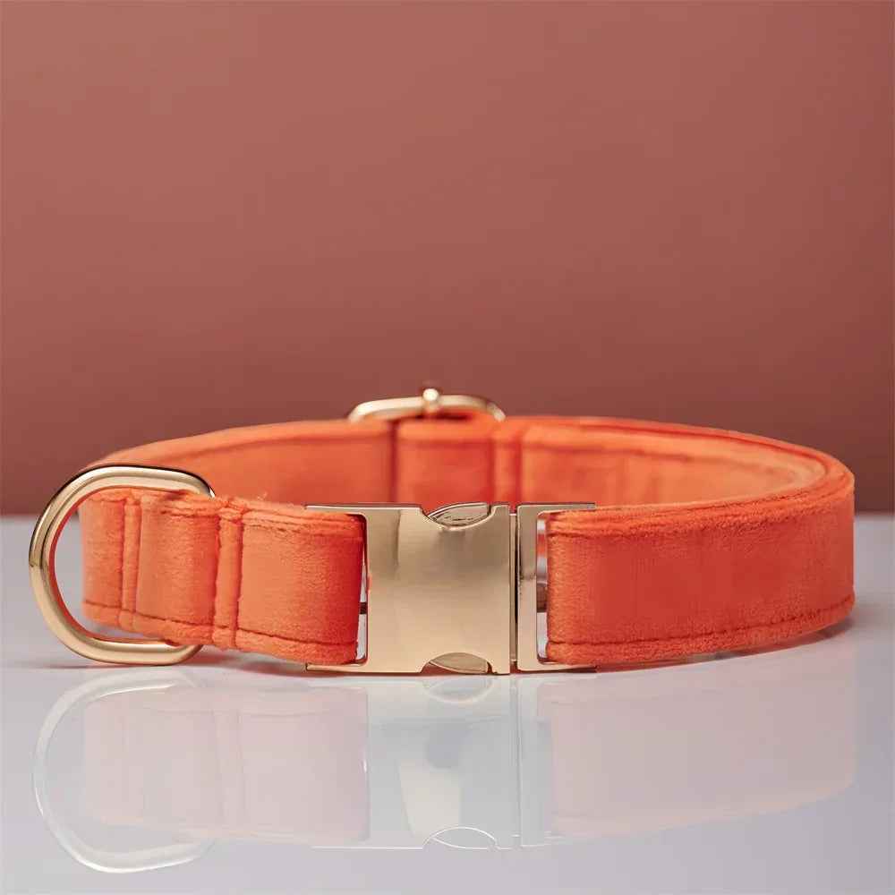 Personalized Velvet Dog Collar & Leash Set with Bow