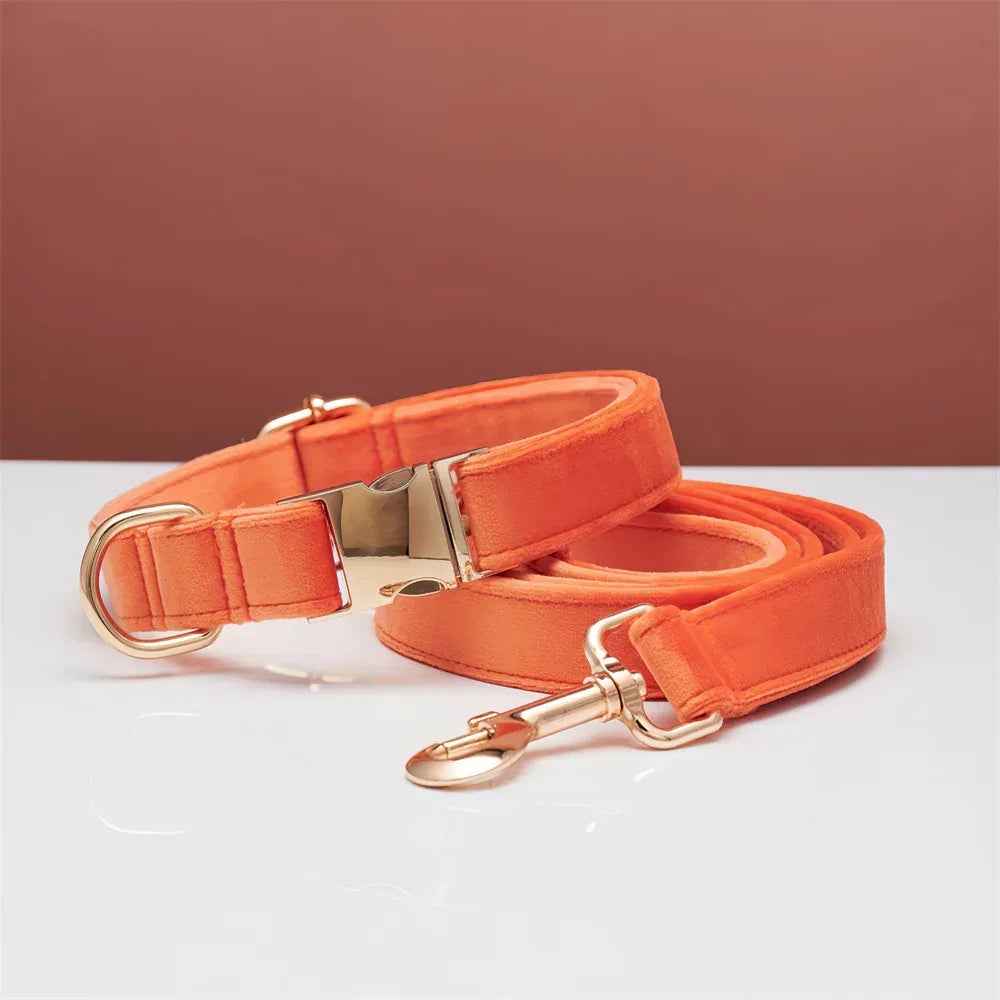 Personalized Velvet Dog Collar & Leash Set with Bow